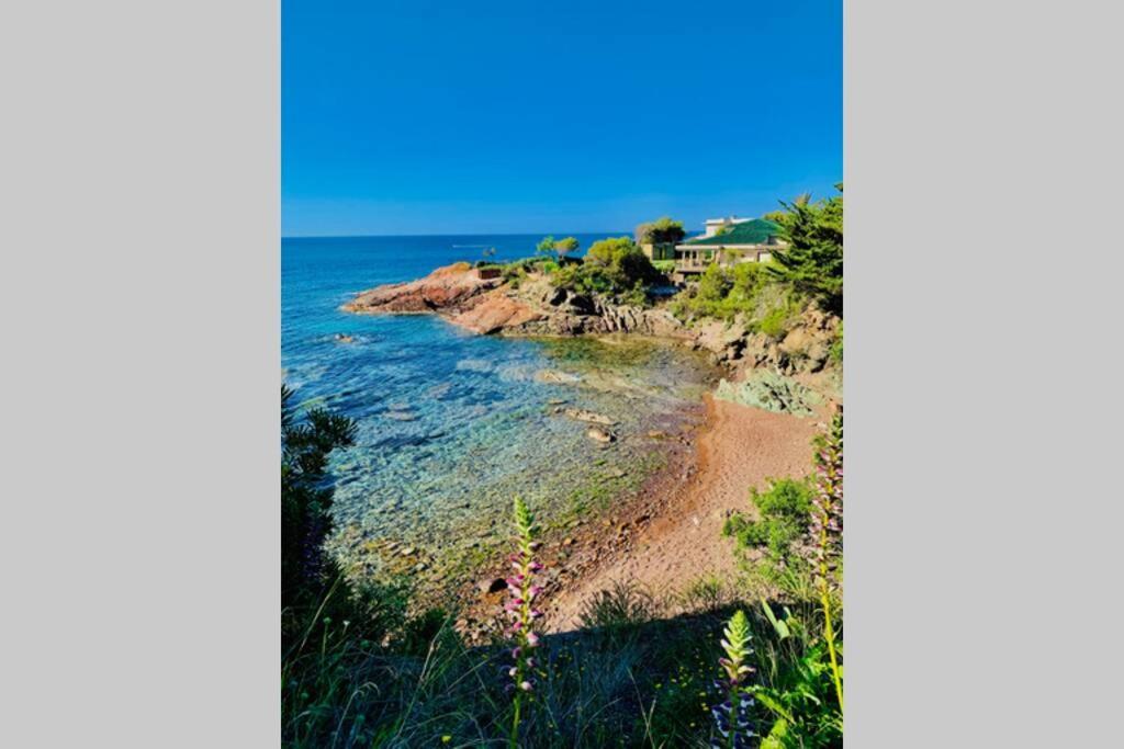 Ferienwohnung Antheor - Vue Exceptionnelle - Refait A Neuf 4 Couchages Saint-Raphaël Exterior foto
